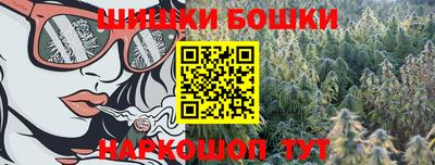 МДПВ Владикавказ