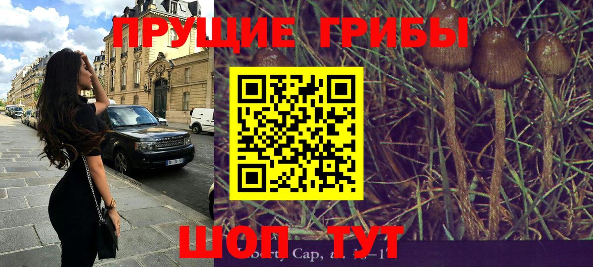 Псилоцибиновые грибы Magic Shrooms  Вход с VPN  Белая Калитва 