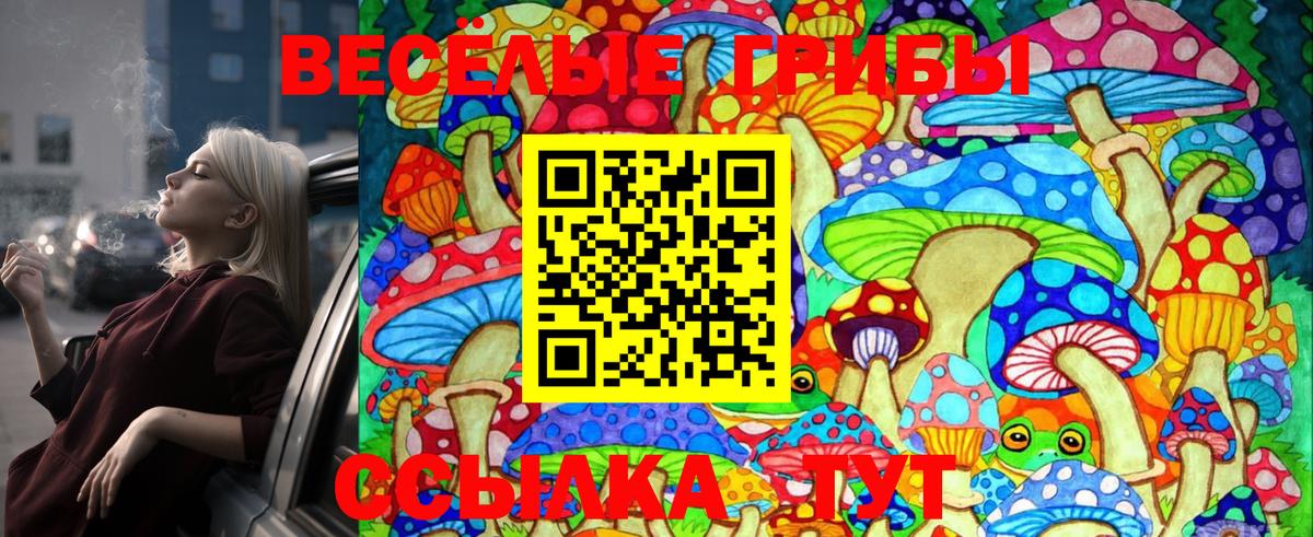 Псилоцибиновые грибы Cubensis Белая Калитва
